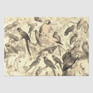 Papel De Seda Elegantes aves tropicales vintage Desnudan loros