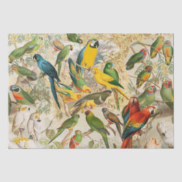 Papel De Seda Elegantes aves tropicales vintage Desnudan loros