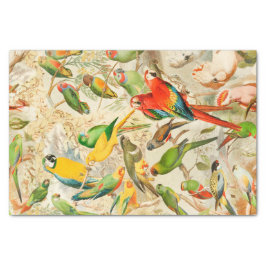 Papel De Seda Elegantes aves tropicales vintage Desnudan loros