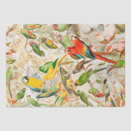 Papel De Seda Elegantes aves tropicales vintage Desnudan loros