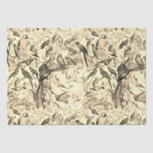 Papel De Seda Elegantes aves tropicales vintage Desnudan loros