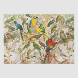 Papel De Seda Elegantes aves tropicales vintage loran selva trop