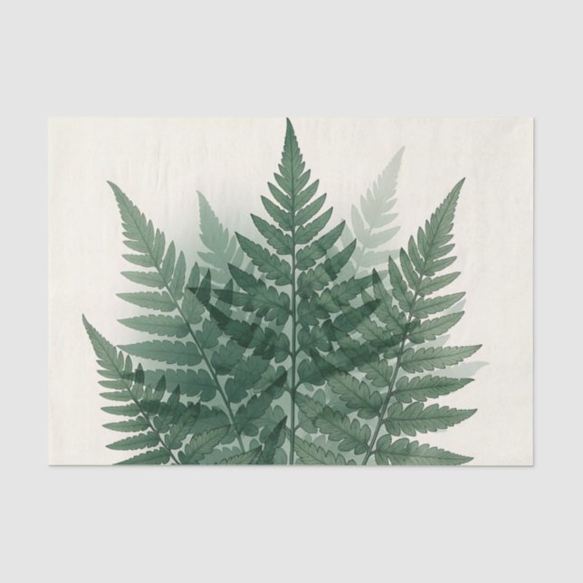 Papel De Seda Elegantes Frondas de Helecho Verde Botánico  (Anverso)