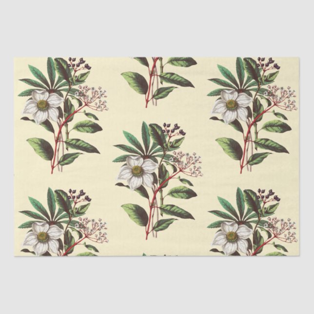 Papel De Seda Elegantes Rosas de Navidad de época beige (Anverso)