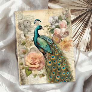 Papel De Seda Elegantes rosas de pavo real y rubor