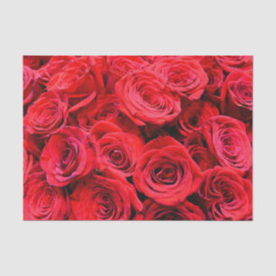 Papel De Seda Elegantes rosas rojas de foto floral