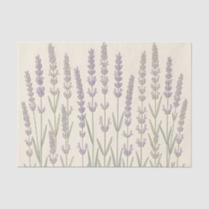 Papel De Seda Elegantes tallos de lavanda suave botánica púrpura