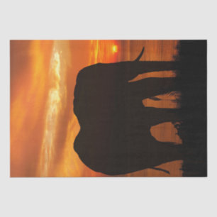 Papel De Seda Elephant Sunset Silhouette