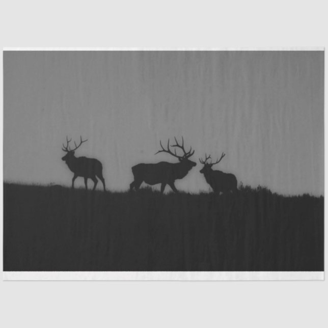 Papel De Seda Elk 1 (Anverso)