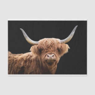 Papel De Seda Ellie, el Coo de Highland