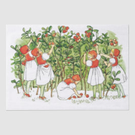 Papel De Seda Elsa Beskow Chica Cute Strawberry