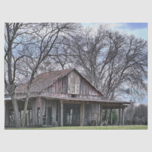 Papel De Seda En ruinas Granero de madera con árboles desnudos e