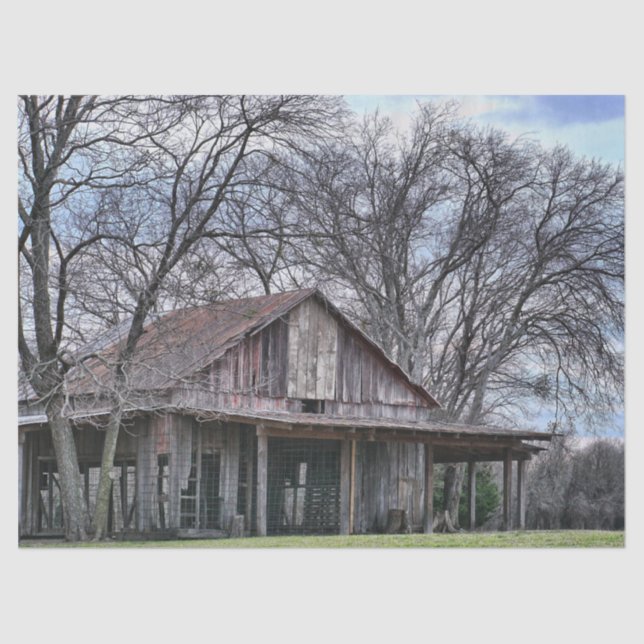 Papel De Seda En ruinas Granero de madera con árboles desnudos e (Anverso)