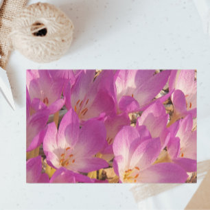 Papel De Seda Encantador PInk otoño cruza la floral