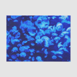 Papel De Seda Enjambre de medusas