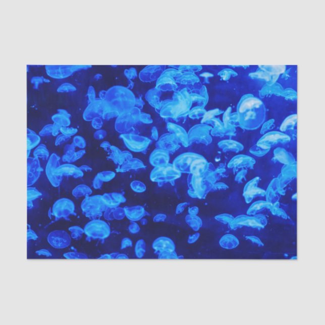 Papel De Seda Enjambre de medusas (Anverso)