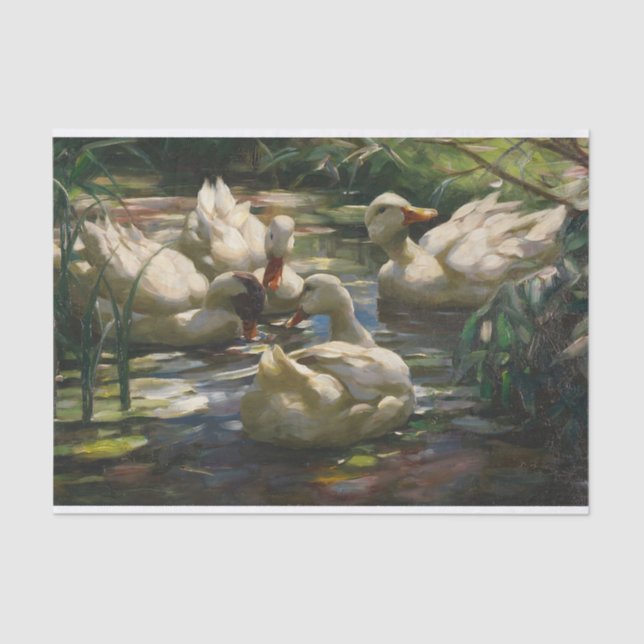 Papel De Seda Enten Auf Dem Waldweiher por Alexander Koester (Anverso)