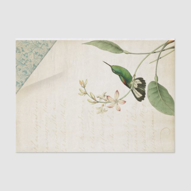 Papel De Seda Ephemera (Anverso)