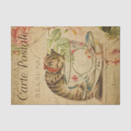 Papel De Seda Ephemera Bonito postal francesa desenlace de gato
