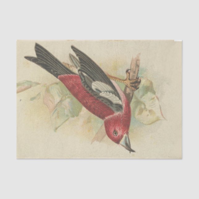 Papel De Seda Ephemera de chatarra serie de diseño #24 (Anverso)