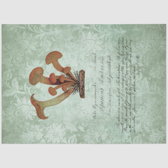 Papel De Seda Ephemera de hongos serie de diseño #2 (Anverso)