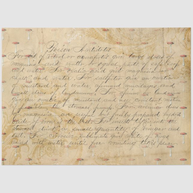 Papel De Seda Ephemera de hongos serie de diseño #4 (Anverso)