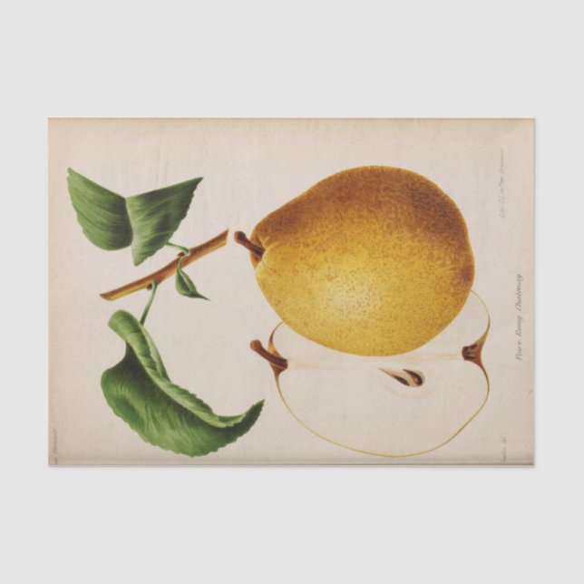 Papel De Seda Ephemera floral Desnudo amarillo (Anverso)