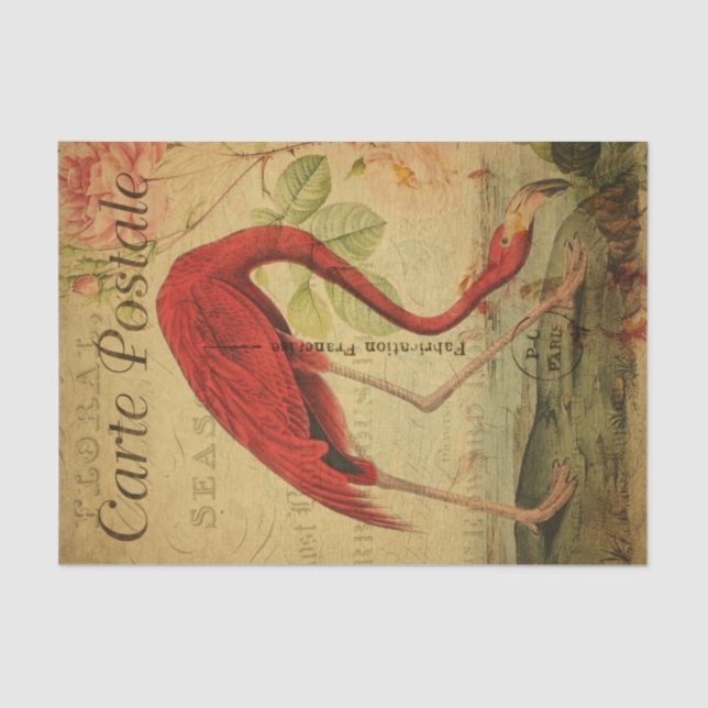 Papel De Seda Ephemera Francesa Postcard Flamingo Floral Decoupa (Anverso)