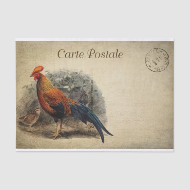 Papel De Seda Ephemera Francesa Postcard Rooster Chick Decoupage (Anverso)