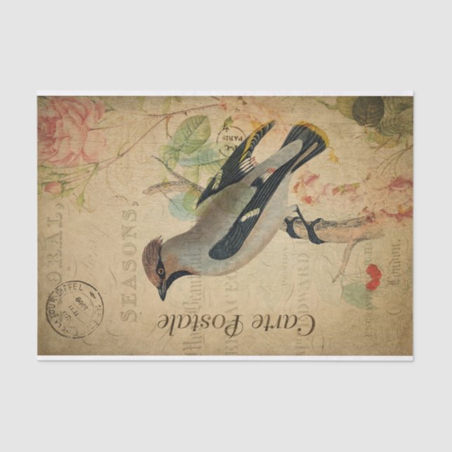 Papel De Seda Ephemera Francesa Postcard Waxwing Bird Decoupage (Anverso)