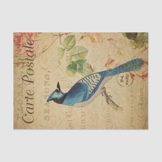 Papel De Seda Ephemera French Postcard Blue Jay Bird Decoupage (Anverso)