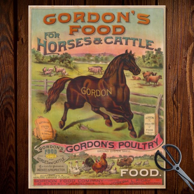 Papel De Seda Ephemera publicitaria de alimentos para animales d (Subido por el creador)