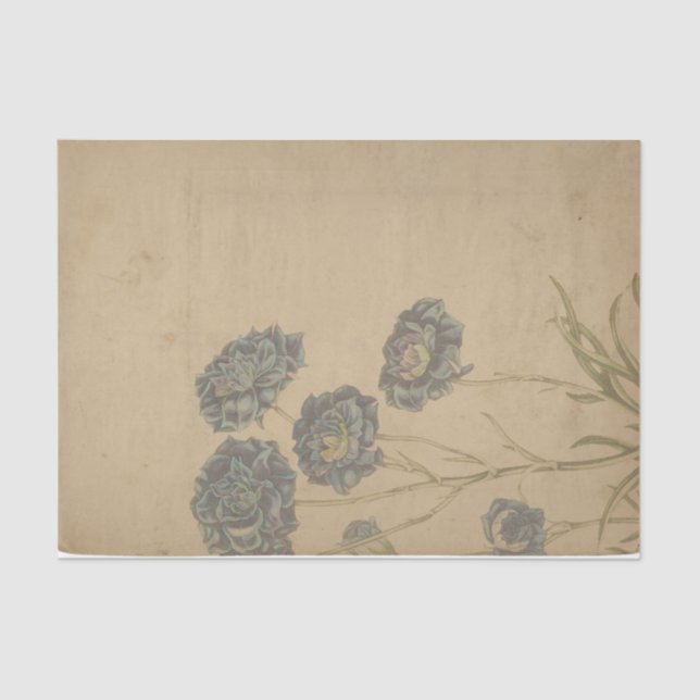 Papel De Seda Ephemera Sheet Design Series #1 (Anverso)