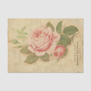 Papel De Seda Ephemera Sheet Design Series #10