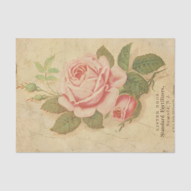 Papel De Seda Ephemera Sheet Design Series #10 (Anverso)