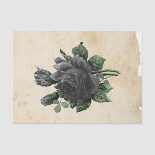 Papel De Seda Ephemera Witch Design Series #9 (Anverso)