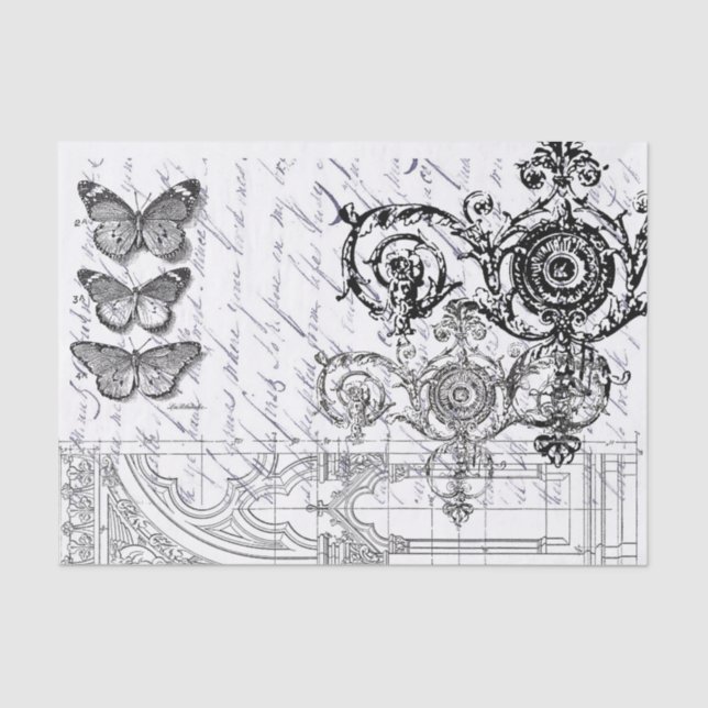 Papel De Seda Ephemeras de la mariposa (Anverso)