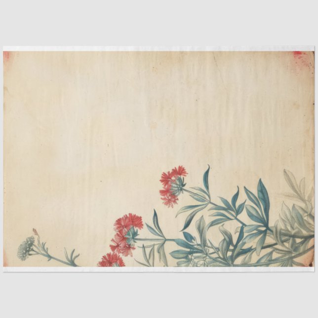 Papel De Seda Episcopía de ilustracion floral de Yarrow (Anverso)