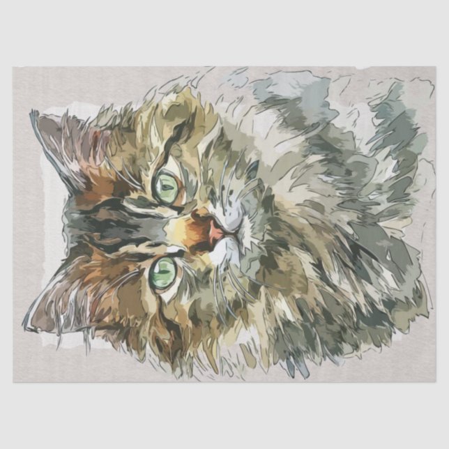 Papel De Seda Esbozo acuático de raza de gato Maine Coon (Anverso)