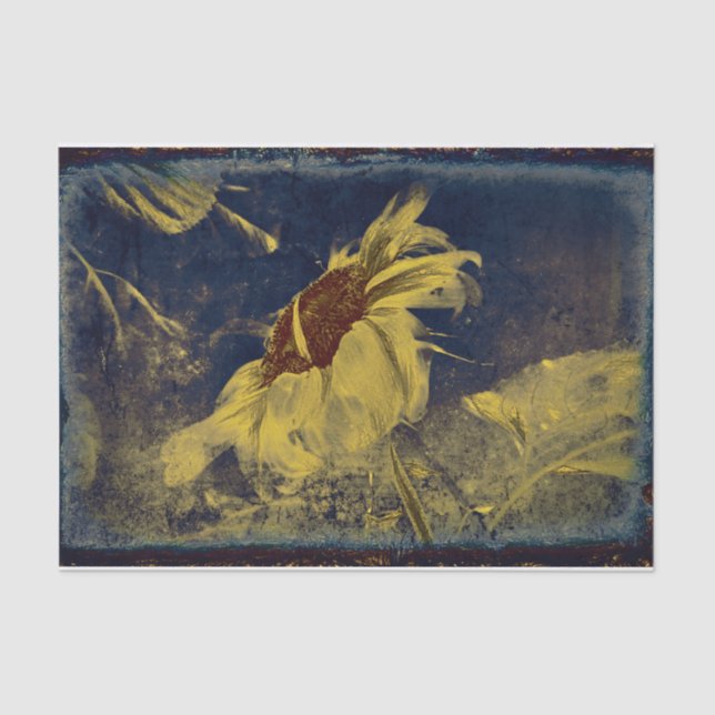 Papel De Seda Esbozo azul amarillo girasol Arte Antigüedad vinta (Anverso)