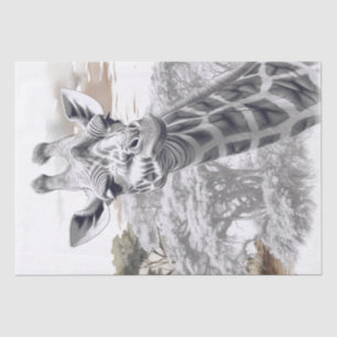 Papel De Seda Esbozo de lápiz de la jirafa africana