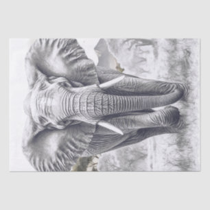 Papel De Seda Esbozo de lápiz para elefantes africanos