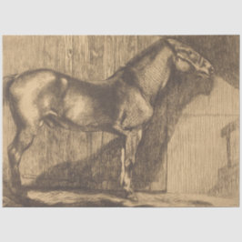 Papel De Seda Esbozo de un Pony (de Paul-Albert Besnard)
