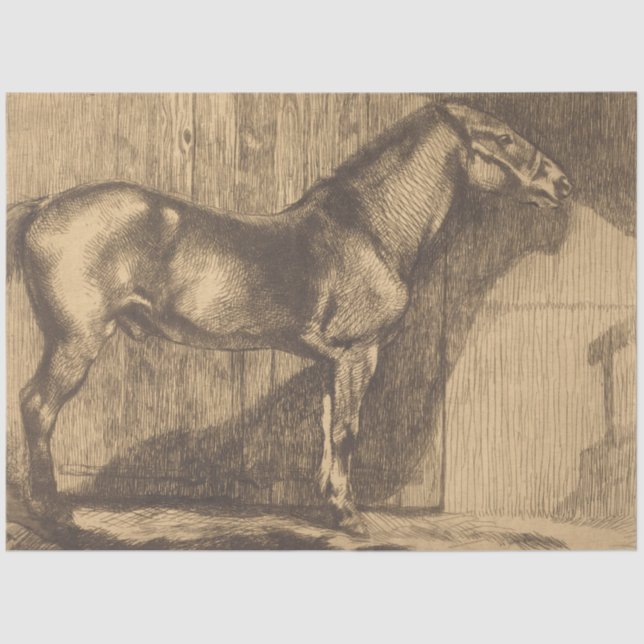 Papel De Seda Esbozo de un Pony (de Paul-Albert Besnard) (Anverso)