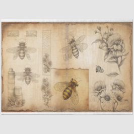 Papel De Seda Esbozos de abeja y floral Ephemera