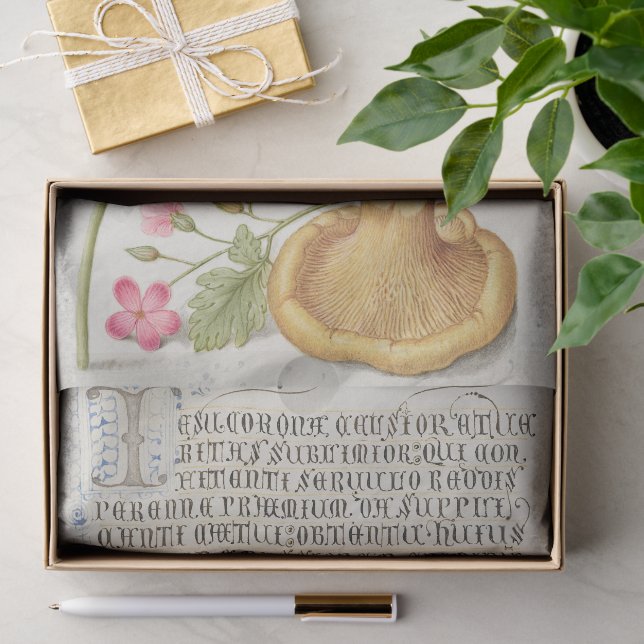 Papel De Seda Escena de jardín con flores, mariposa y hongo (Regalo )