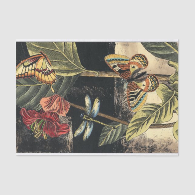 Papel De Seda Escena de naturaleza oscura de Vision Studio (Anverso)