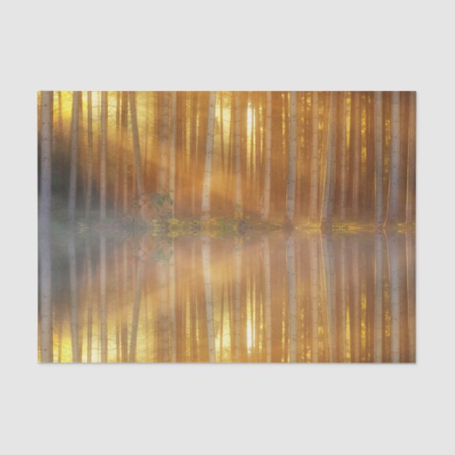 Papel De Seda Escenario de Bosque Misty (Anverso)