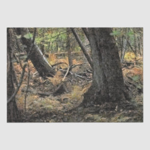 Papel De Seda Escenario forestal de otoño