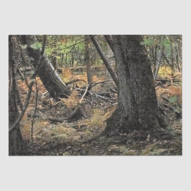 Papel De Seda Escenario forestal de otoño (Anverso)